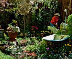 Stuffed Garden.jpg